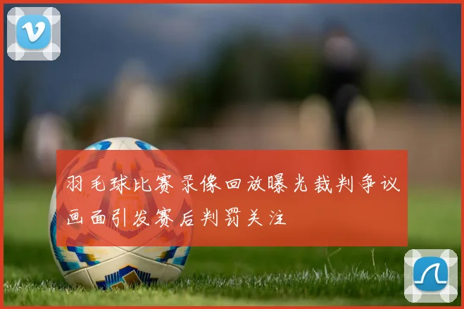 羽毛球比赛录像回放曝光裁判争议画面引发赛后判罚关注