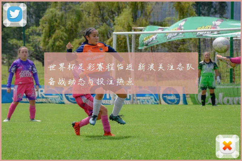 世界杯足彩赛程临近 新浪关注各队备战动态与投注热点