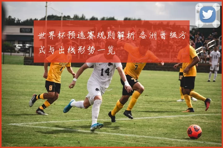世界杯预选赛规则解析 各洲晋级方式与出线形势一览
