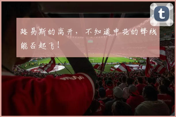 路易斯的离开，不知道申花的锋线能否起飞！