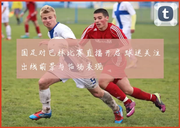 国足对巴林比赛直播开启 球迷关注出线前景与临场表现