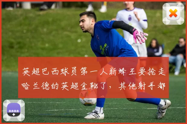 英超巴西球员第一人新蜂王要抢走哈兰德的英超金靴了，其他射手都要卷土重来了_伊戈尔·蒂亚戈_布伦特福德_阿森纳