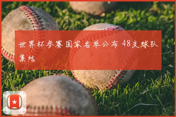 世界杯参赛国家名单公布 48支球队集结