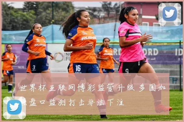世界杯互联网博彩监管升级 多国加强盘口监测打击非法下注