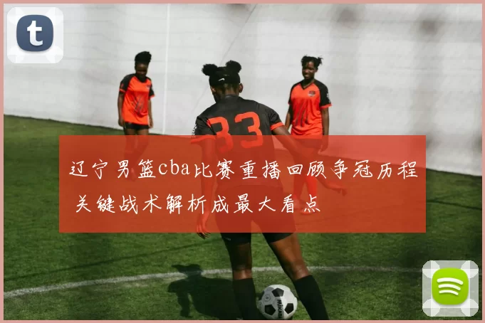 辽宁男篮cba比赛重播回顾争冠历程 关键战术解析成最大看点